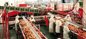 Industrie agro-alimentaire